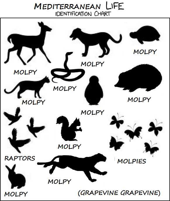 Even if the dictionaries aren't giving in, I refuse to accept "molpy" isn't a word