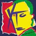 XTCamuss avatar
