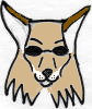 Coyotys avatar