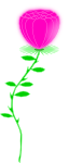 PinkShinyRoses avatar