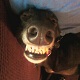davedrowsys avatar
