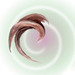 ouzelum birds avatar