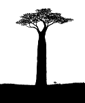 edos avatar