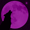 wolfpurplemoons avatar