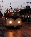 trolleypups avatar