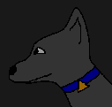 Copernicium112s avatar