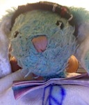 thunderrabbits avatar