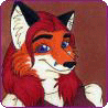 kitnokis avatar