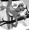 Sprockets avatar